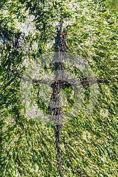 Easter Sunday Seaweed Cross Beach Park Edmonds Washington photo