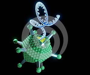 Virus polyhedral morphology with single stranded DNA on the black background