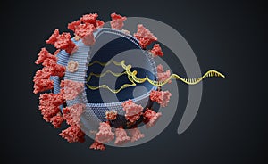 Virus with RNA molecule inside. Viral genetics concept. 3D rendered illustration. photo