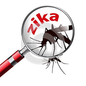 Virus zika