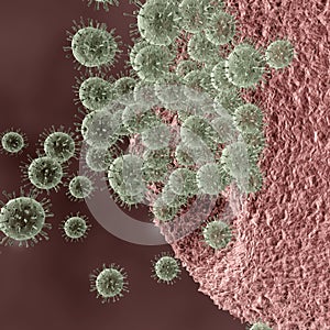 Viruses Attacking Cell