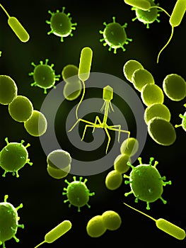 Viruses and bacteria - close up photo