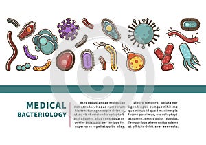 Viruses and bacteria information poster for medical healthcare infographics or bacteriology science. photo