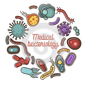 Viruses and bacteria poster for medical bacteriology science and healthcare or biology flat vector design photo