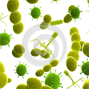Viruses and bacteria photo