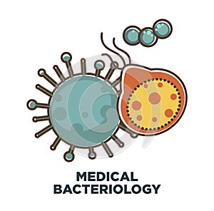 Viruses and bacteria vector icon for medical bacteriology study or healthcare science photo