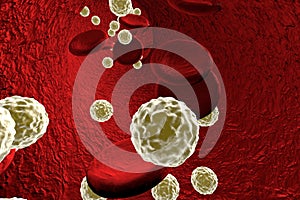Viruses in blood. Generalized viral infection