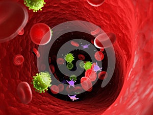 Viruses in the human blood