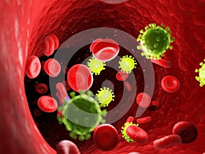 Viruses in the human blood