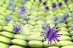 Viruses infecting human cells