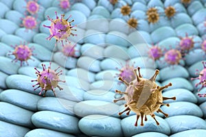 Viruses infecting human cells