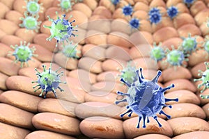 Viruses infecting human cells