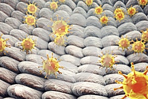 Viruses infecting human cells