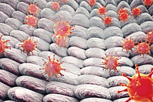 Viruses infecting human cells