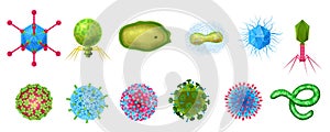 Viruses Realistic Icons Set