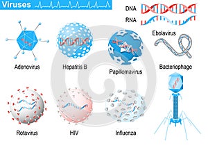 Viruses. RNA and DNA. Medical Infographic set with icons of viruses. medical symbols for design