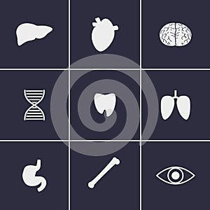Viscera Icons
