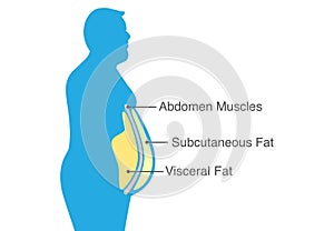 Visceral fat and subcutaneous fat that accumulate around your waistline. photo