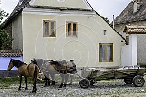 Viscri, romania, europe, housing