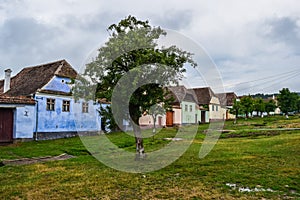 Viscri traditional colorful farm houses in Romania