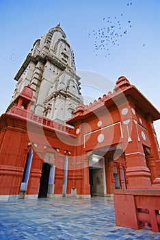 Vishwanath Shiva Temple