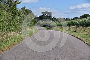 A road and some fields