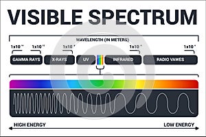 Visible light diagram. Color electromagnetic spectrum, light wave frequency. Educational school physics vector