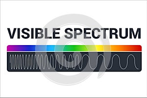 Visible light diagram. Color electromagnetic spectrum, light wave frequency. Educational school physics vector