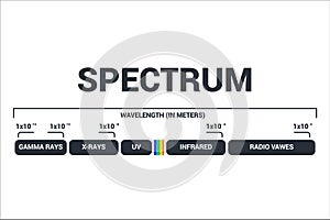 Visible light diagram. Color electromagnetic spectrum, light wave frequency. Educational school physics vector