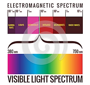 Visible Light Spectrum Diagram