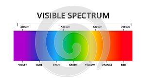 Visible light spectrum. Electromagnetic visible color spectrum for human eye. Vector gradient diagram with wavelength