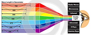 Visible light spectrum of human eye infographic diagram photo