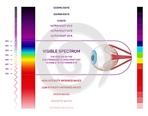 Visible Light Spectrum Infographics photo
