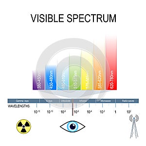 Visible spectrum and invisible light photo