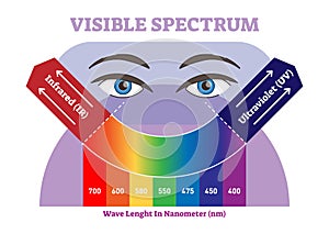 Visible spectrum vector illustration diagram, color scheme from infrared to ultraviolet color scale.