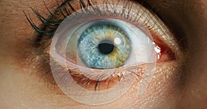 Vision, awareness and blue eye woman for healthcare, optometry or eyesight wellness. Contact lens, macro medical exam or