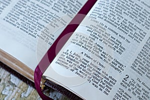 Vision of Jesus Christ verses in open holy bible book, close-up