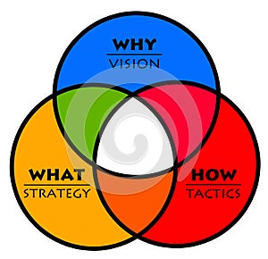 Vision strategy tactics