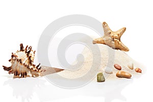 Visit card, starfish, seashell and stones on pile of sand