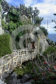 Visit the exotic garden of Monaco