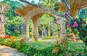 Visit Mae Fah Luang garden, Doi Tung, Thailand