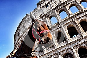 Visit rome in the horse buggy