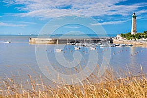 pretty landscape of Saint-Georges-de-Didonne and its famous lighthouse photo