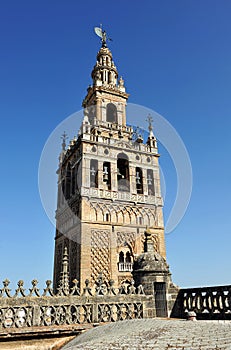 Visit to the decks of the cathedral of Seville, Giralda tower, Andalusia, Spain