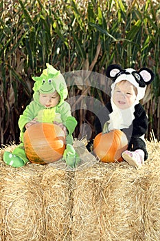 Visit to a Pumpkin Patch