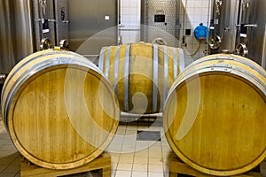 Visit of undergrounds caves with barrels, tanks, bottles on wooden racks, traditional making of champagne sparkling wine in Cote