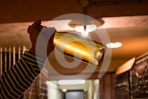 Visit of undergrounds caves, showing of sediment in bottles, traditional making of champagne sparkling wine in Cote des Bar,