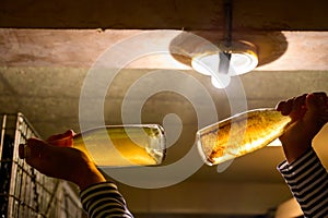 Visit of undergrounds caves, showing of sediment in bottles, traditional making of champagne sparkling wine in Cote des Bar,