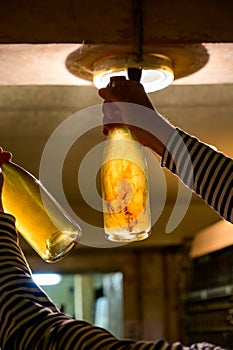 Visit of undergrounds caves, showing of sediment in bottles, traditional making of champagne sparkling wine in Cote des Bar,