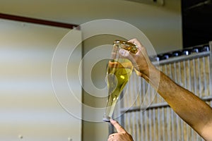 Visit of undergrounds caves, showing of sediment in bottles, traditional making of champagne sparkling wine in Cote des Bar,